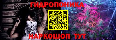 дмт Гусев