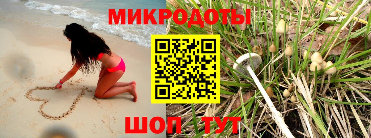 Мурманск  закладки  Вход с VPN  Псилоцибиновые грибы мухоморы 